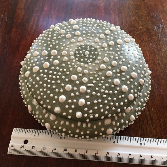 Shell trinket box - Picture 5 of 5